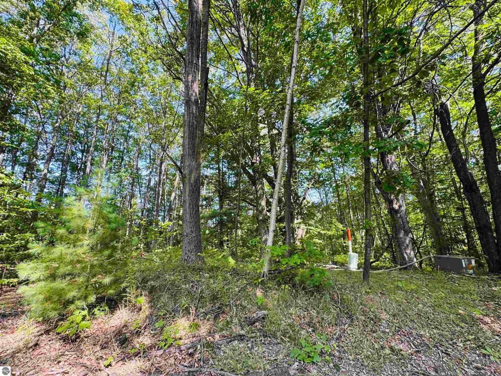 Photo of 7980 Fence Row Circle, Leroy, MI 49655 (MLS # 1938437)