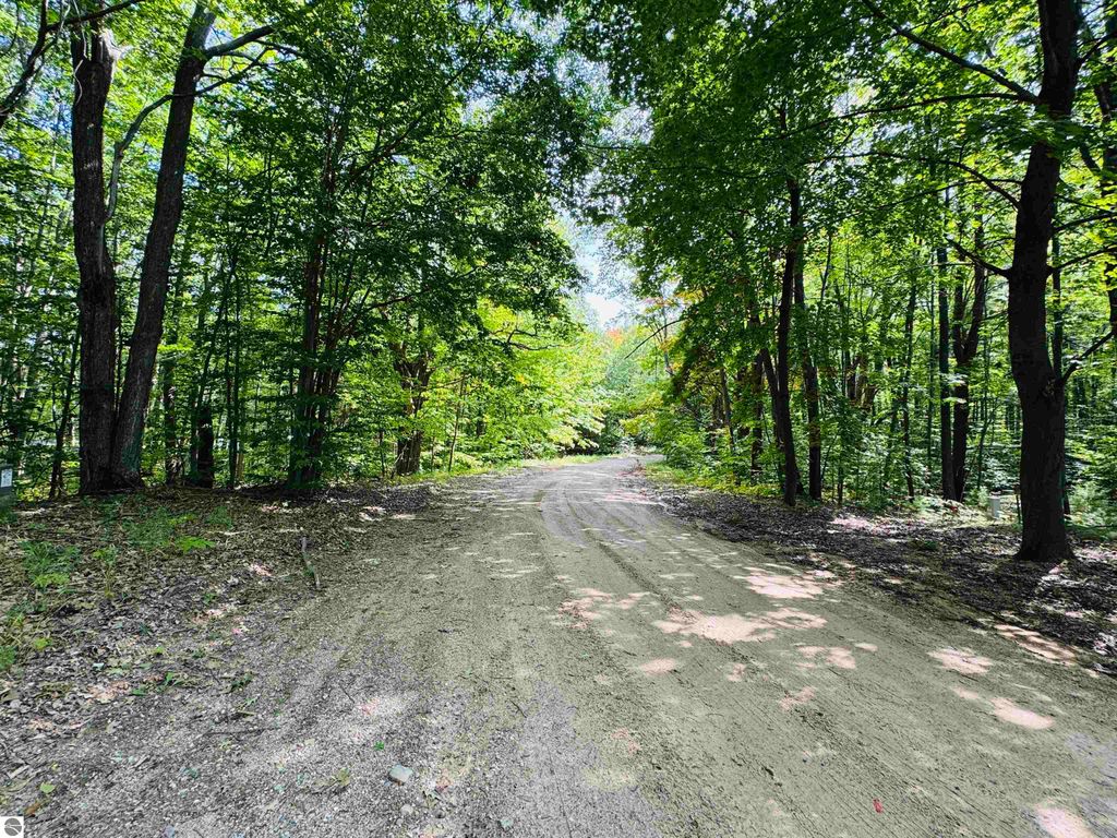 Photo of 7980 Fence Row Circle, Leroy, MI 49655 (MLS # 1938437)