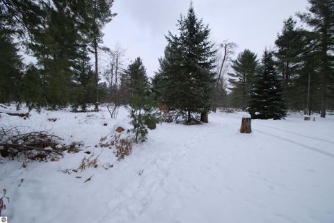 Tiny photo for 57 E Boehm Road, West Branch, MI 48661 (MLS # 1941037)