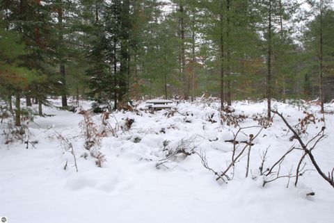 Tiny photo for 57 E Boehm Road, West Branch, MI 48661 (MLS # 1941037)