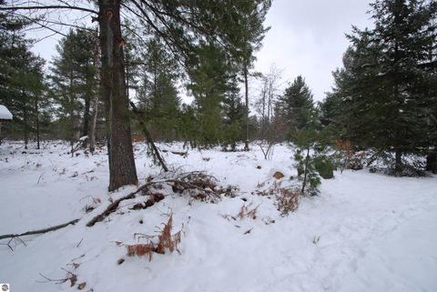 Tiny photo for 57 E Boehm Road, West Branch, MI 48661 (MLS # 1941037)
