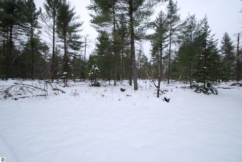 Tiny photo for 57 E Boehm Road, West Branch, MI 48661 (MLS # 1941037)