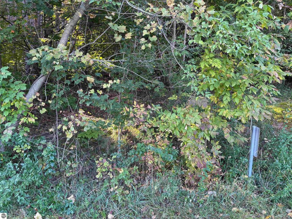 Photo of 40 E North Wind Trail, Lake Leelanau, MI 49653 (MLS # 1939534)