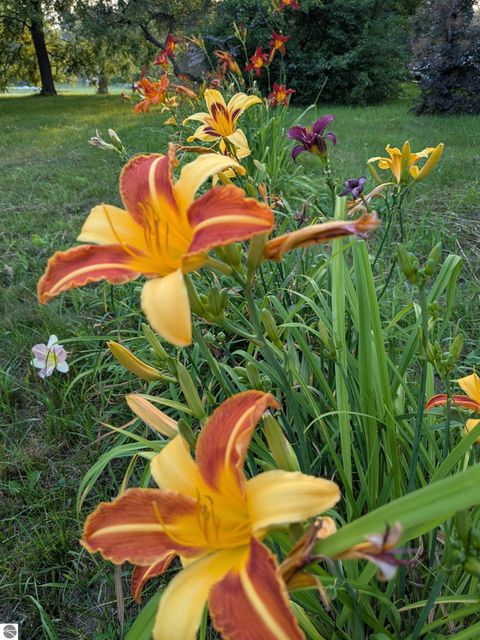 Tiny photo for 10562 Summit City Road, Kingsley, MI 49649 (MLS # 1939743)