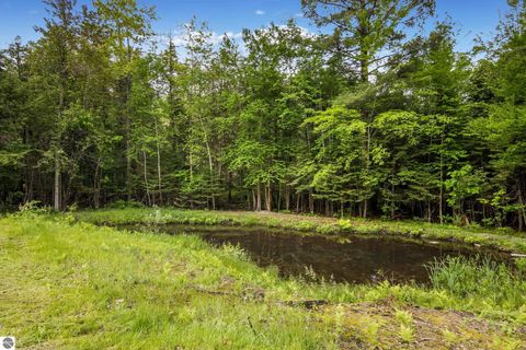 Tiny photo for 933 Old M-72, Kalkaska, MI 49646 (MLS # 1937239)