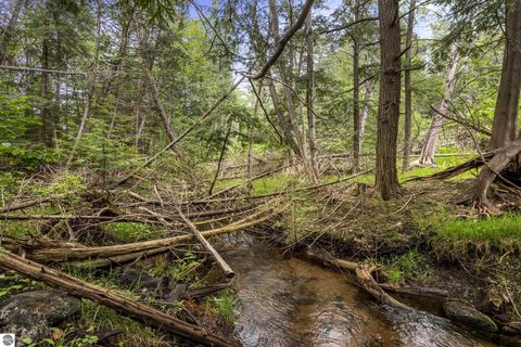Tiny photo for 933 Old M-72, Kalkaska, MI 49646 (MLS # 1937239)