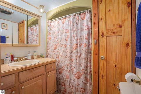 Tiny photo for 4181 NE Sands Park Drive, Kalkaska, MI 49646 (MLS # 1938279)