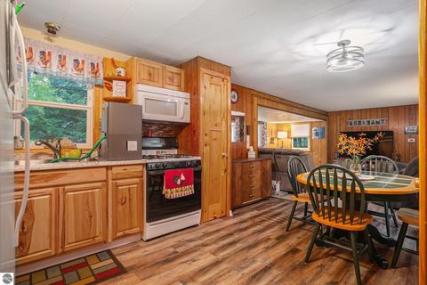 Tiny photo for 4181 NE Sands Park Drive, Kalkaska, MI 49646 (MLS # 1938279)