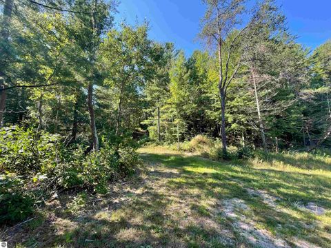 Tiny photo for 2492 E Fir Road, Harrison, MI 48625 (MLS # 1937849)