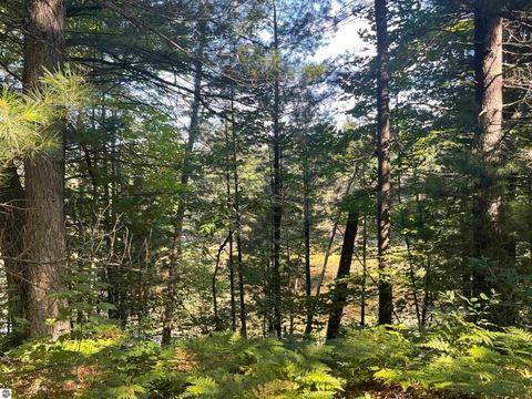 Tiny photo for 2492 E Fir Road, Harrison, MI 48625 (MLS # 1937849)