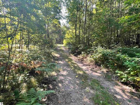 Tiny photo for 2492 E Fir Road, Harrison, MI 48625 (MLS # 1937849)