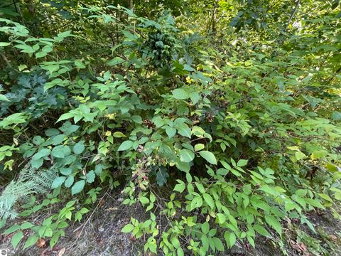 Tiny photo for 2492 E Fir Road, Harrison, MI 48625 (MLS # 1937849)