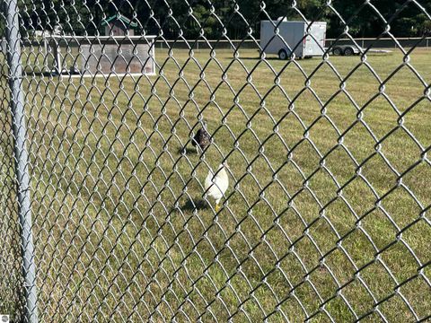 Tiny photo for 2492 E Fir Road, Harrison, MI 48625 (MLS # 1937849)