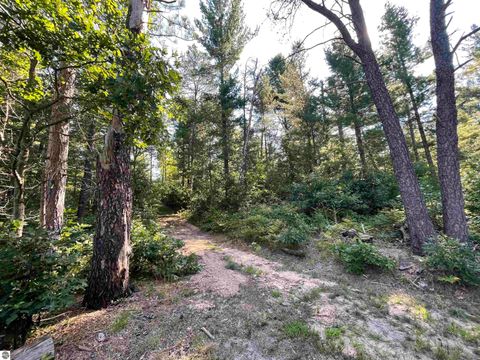 Tiny photo for 2492 E Fir Road, Harrison, MI 48625 (MLS # 1937849)