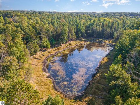 Tiny photo for 2492 E Fir Road, Harrison, MI 48625 (MLS # 1937849)