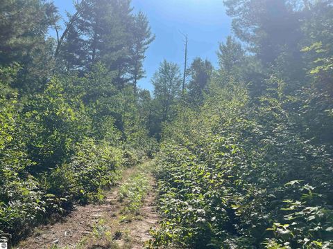 Tiny photo for 2492 E Fir Road, Harrison, MI 48625 (MLS # 1937849)