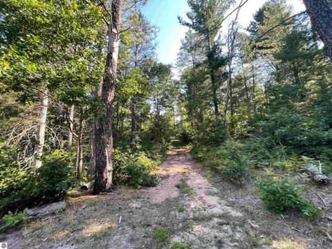 Tiny photo for 2492 E Fir Road, Harrison, MI 48625 (MLS # 1937849)