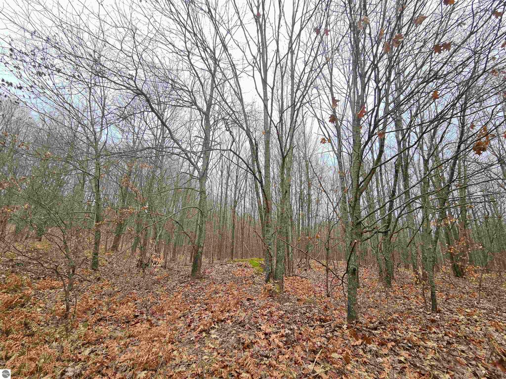 Photo of 40 Moorestown Road, Lake City, MI 49651 (MLS # 1939637)