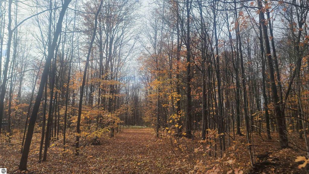 Photo of 11522 Bailey Road, Mancelona, MI 49659 (MLS # 1939917)