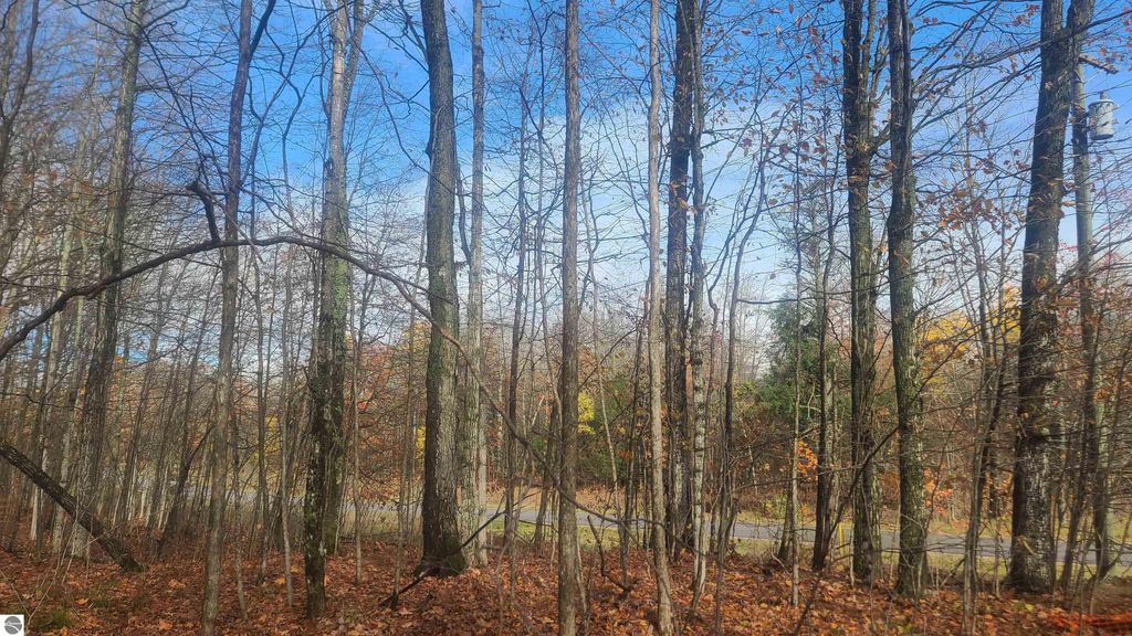 Photo of 11522 Bailey Road, Mancelona, MI 49659 (MLS # 1939917)