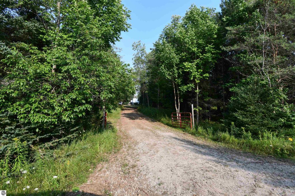 Photo of 9537 Lakeview Road, Alanson, MI 49706 (MLS # 1937556)