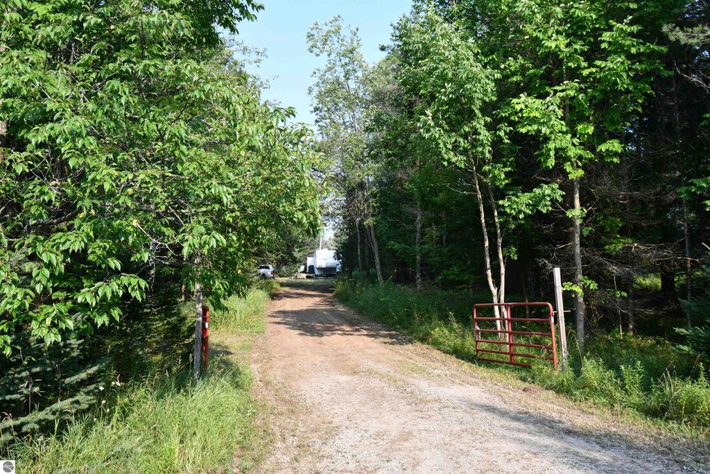 Photo of 9537 Lakeview Road, Alanson, MI 49706 (MLS # 1937556)
