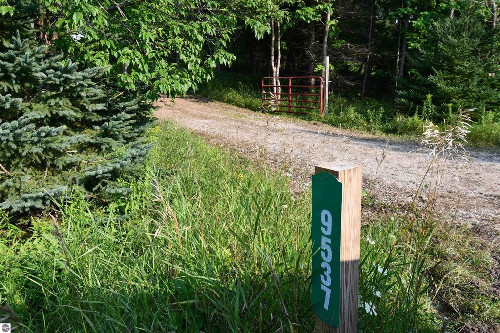 Photo of 9537 Lakeview Road, Alanson, MI 49706 (MLS # 1937556)