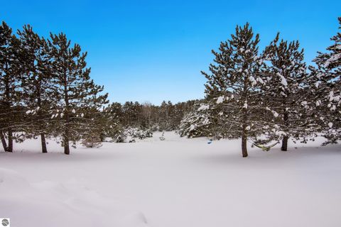 Tiny photo for 1317 E Wexford Avenue, Buckley, MI 49620 (MLS # 1941107)