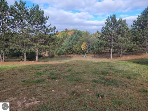 Tiny photo for 1317 E Wexford Avenue, Buckley, MI 49620 (MLS # 1941107)