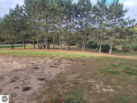 Tiny photo for 1317 E Wexford Avenue, Buckley, MI 49620 (MLS # 1941107)