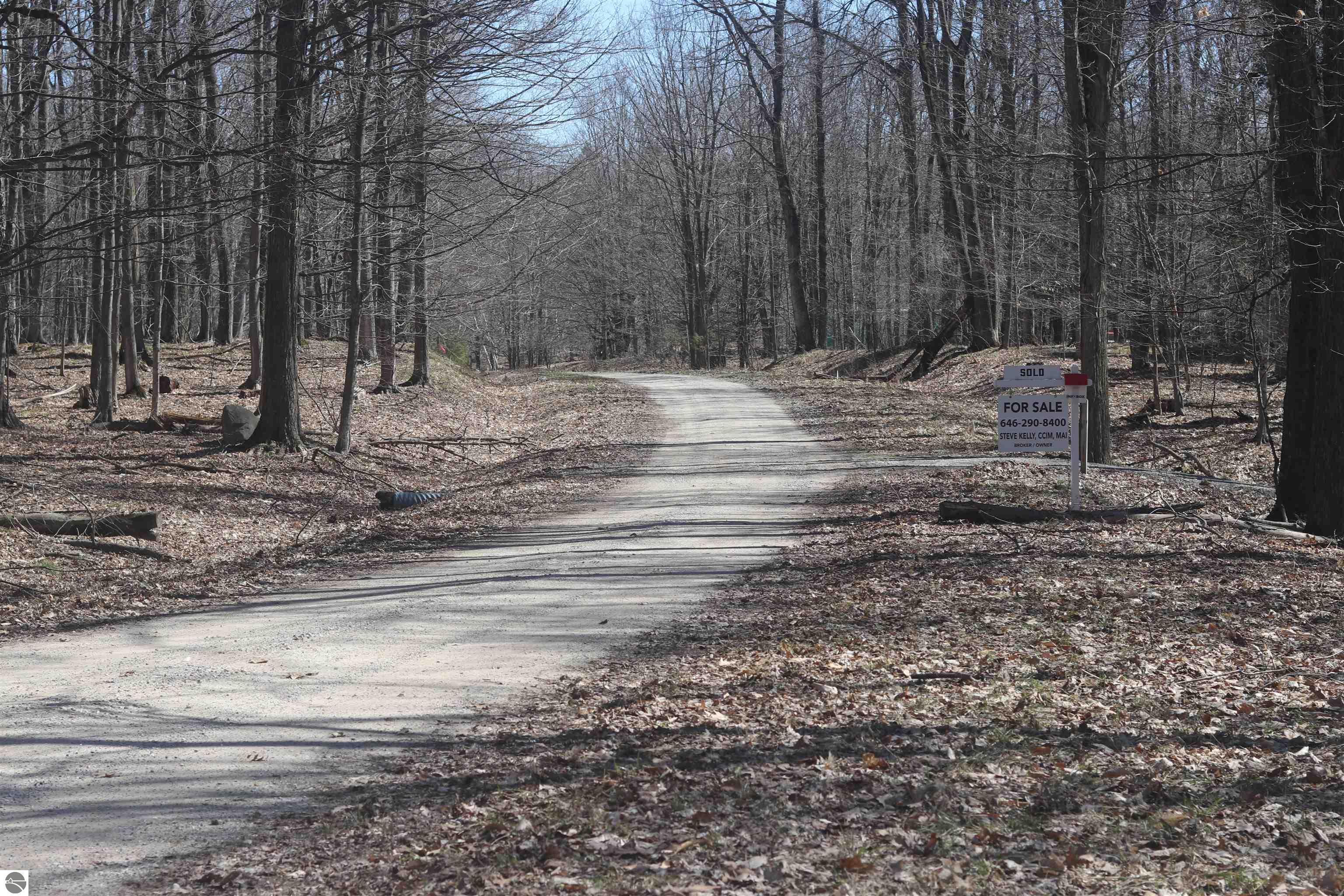 Photo 1 of 9 — lot 4 Crystal View Commons, Beulah, MI 49617