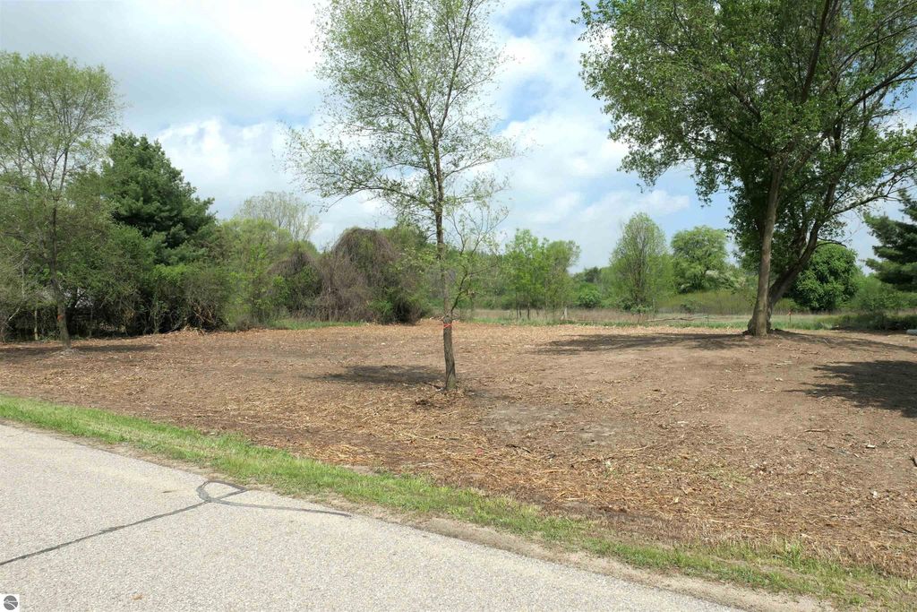 Photo of TBD Corvallis Drive, Mt Pleasant, MI 48858 (MLS # 1922989)