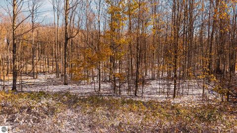 Tiny photo for 2427 Montgomery Road, Bellaire, MI 49615 (MLS # 1940487)