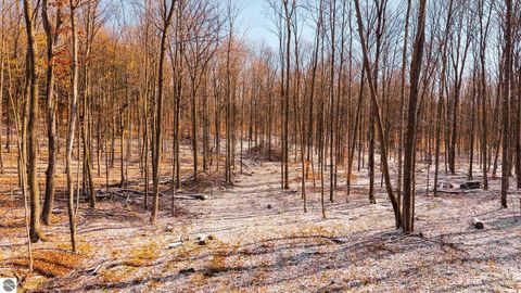 Tiny photo for 2427 Montgomery Road, Bellaire, MI 49615 (MLS # 1940487)