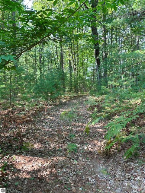 Photo of 592 SE Blue Heron Drive, Kalkaska, MI 49646 (MLS # 1926842)