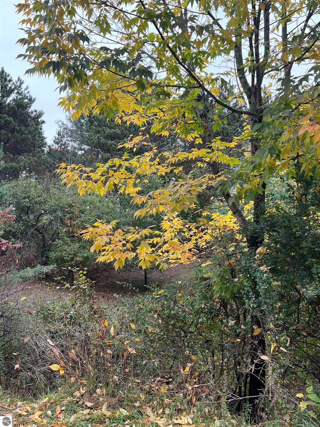 Photo of 170 Jonathon Drive, Rapid River, MI 49676 (MLS # 1939704)