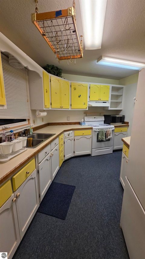 Tiny photo for 971 Wintergreen, East Tawas, MI 48730 (MLS # 1940594)