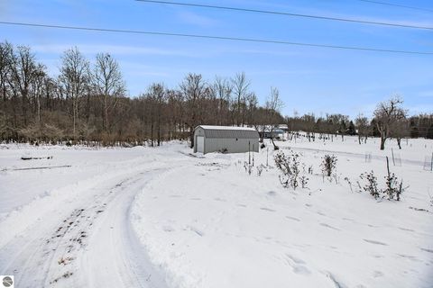 Tiny photo for 23736 110th Avenue, Tustin, MI 49688 (MLS # 1941297)