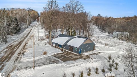 Tiny photo for 23736 110th Avenue, Tustin, MI 49688 (MLS # 1941297)
