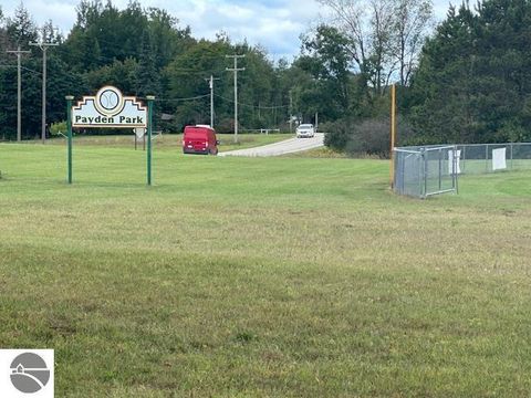 Tiny photo for 7038 W Blanchard Road, Blanchard, MI 49310 (MLS # 1940889)