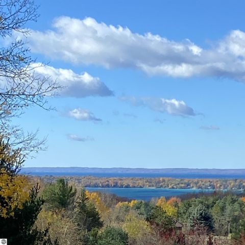 Tiny photo for 9865 Paradise Hills Drive, Central Lake, MI 49622 (MLS # 1940545)