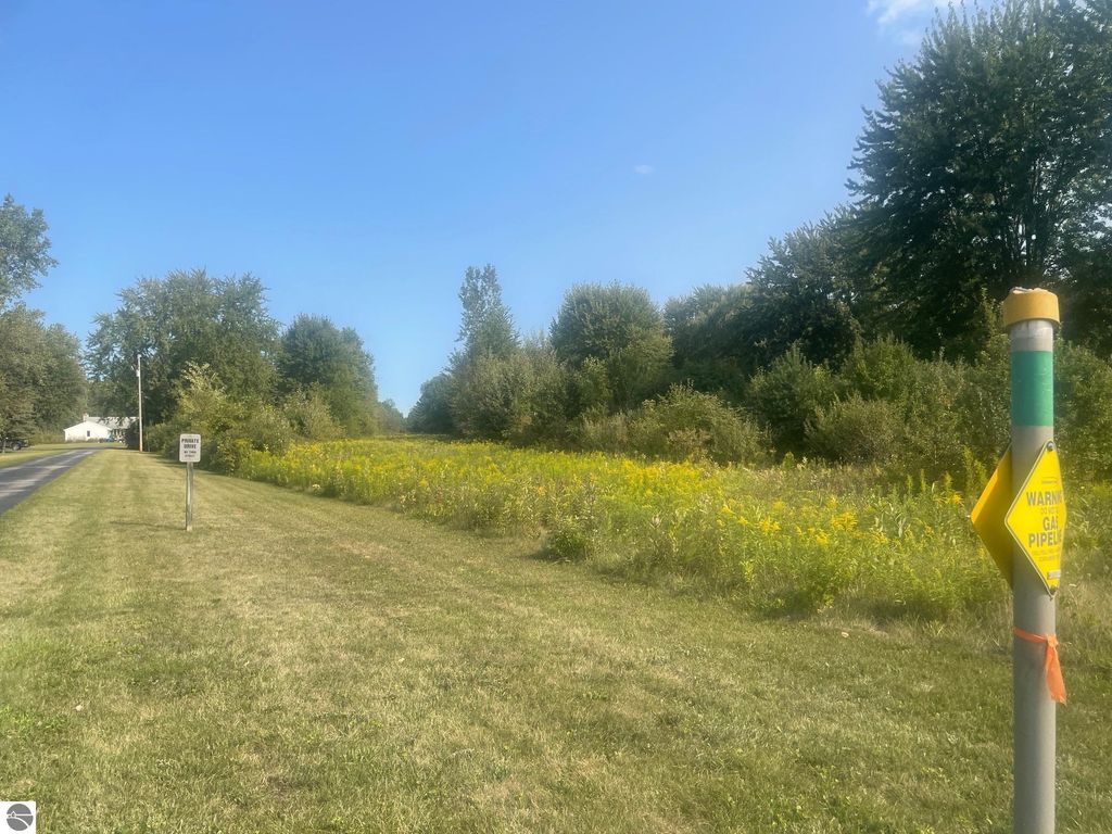 Photo of 2275 S Shepherd Road, Mt Pleasant, MI 48858 (MLS # 1938416)