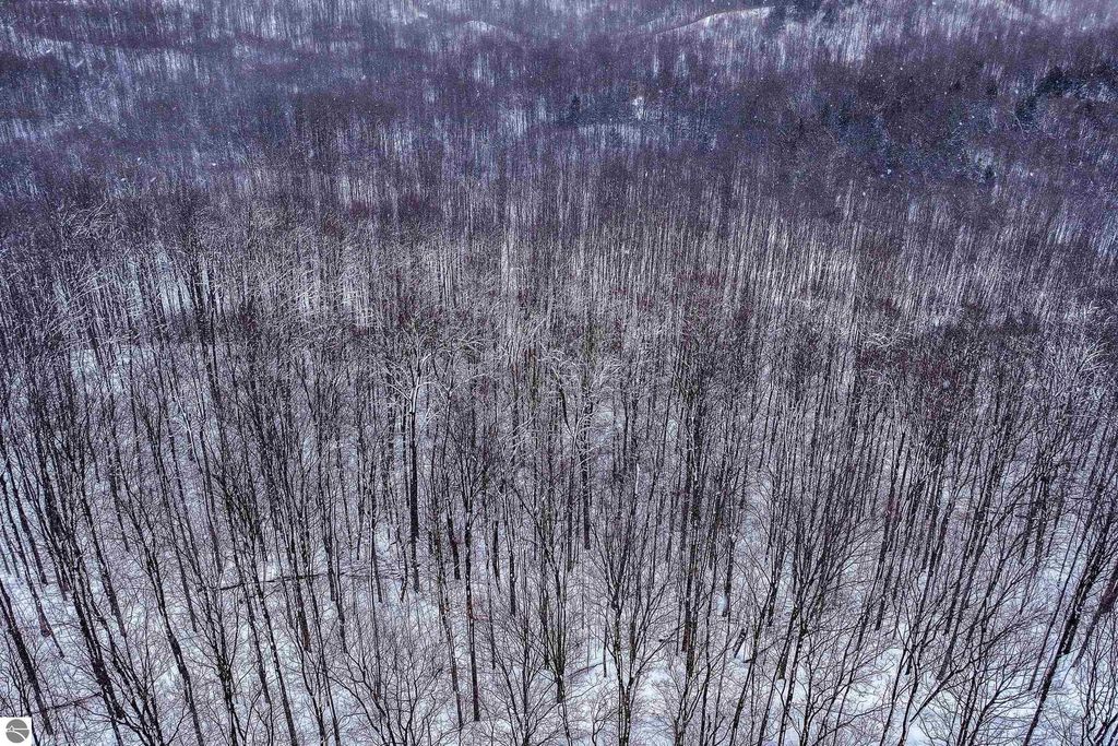 Photo of 7 Connemara Drive, Boyne City, MI 49712 (MLS # 1930344)