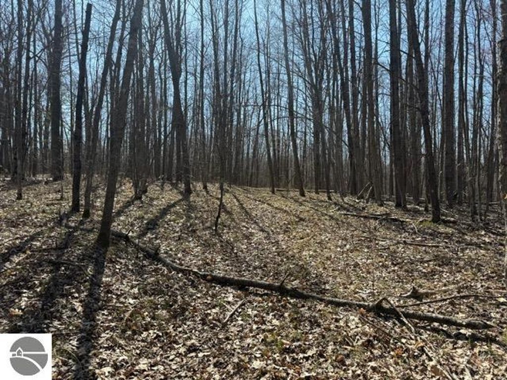 Photo of Ticino Drive #353, Reed City, MI 49677 (MLS # 1932968)