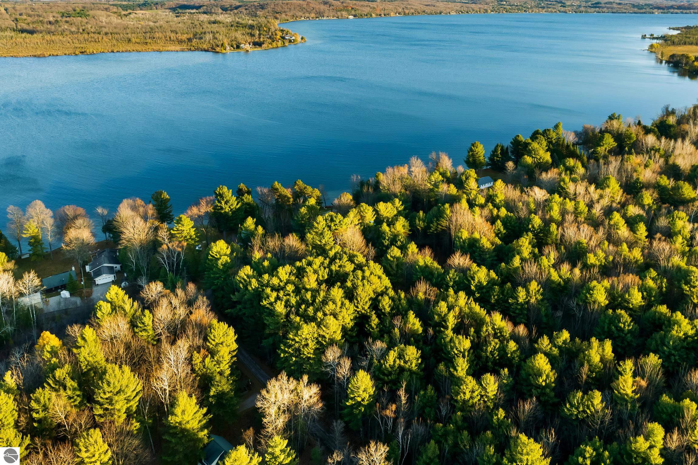 Cedar, Michigan 49621, United States, ,Land,Active,244663