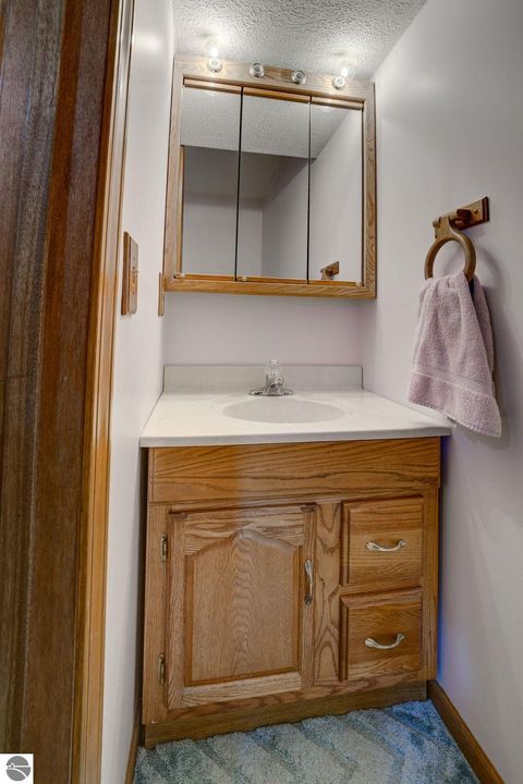 Tiny photo for 12199 S Lincoln Hollow, Cedar, MI 49621 (MLS # 1940283)