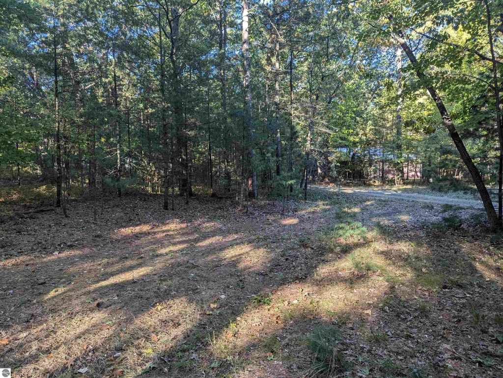 Photo of 5420 E 5th Street, Au Gres, MI 48703 (MLS # 1928015)