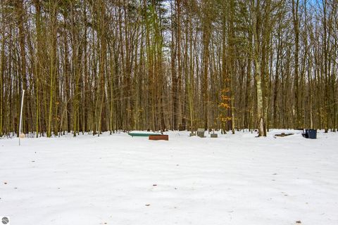 Tiny photo for 20155 Hatty Lane, Interlochen, MI 49643 (MLS # 1941351)