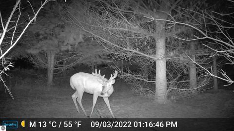 Tiny photo for 3626 90th Avenue, Evart, MI 49631 (MLS # 1939735)