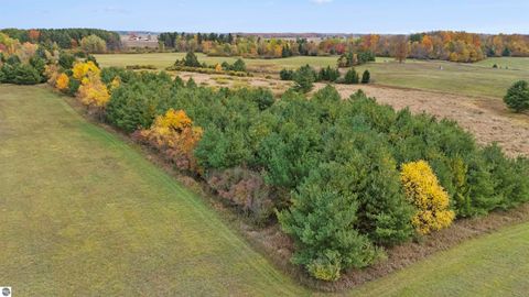 Tiny photo for 3626 90th Avenue, Evart, MI 49631 (MLS # 1939735)